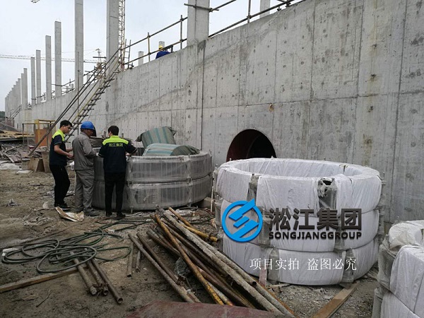 上海市竹园污水处理厂使用现场