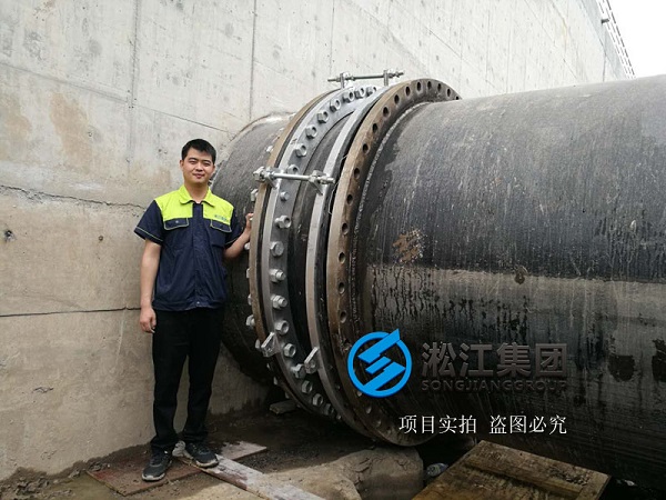上海市竹园污水处理厂使用现场